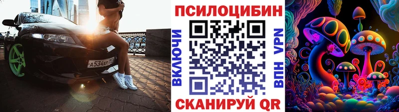 Купить закладки Жуковский Галлюциногенные грибы Cubensis